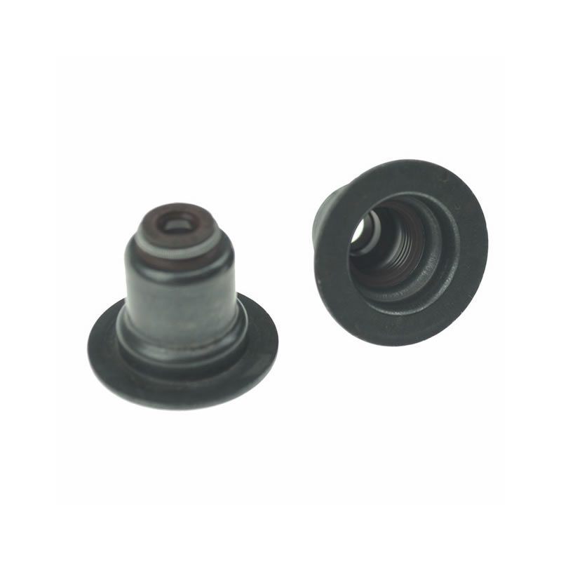 BMW / PEUGEOT Valve Seals KIT 095660