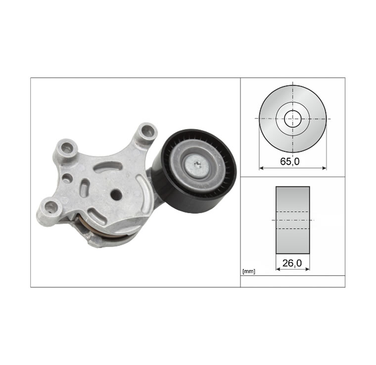 V-Ribbed Belt Tensioner 534007520 INA