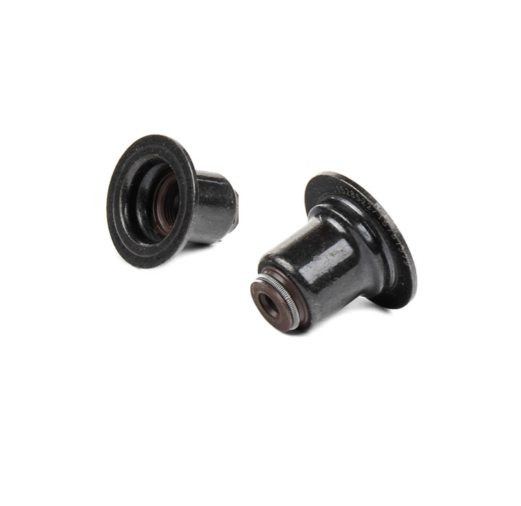 Peugeot Valve Seals PSA Group 095660