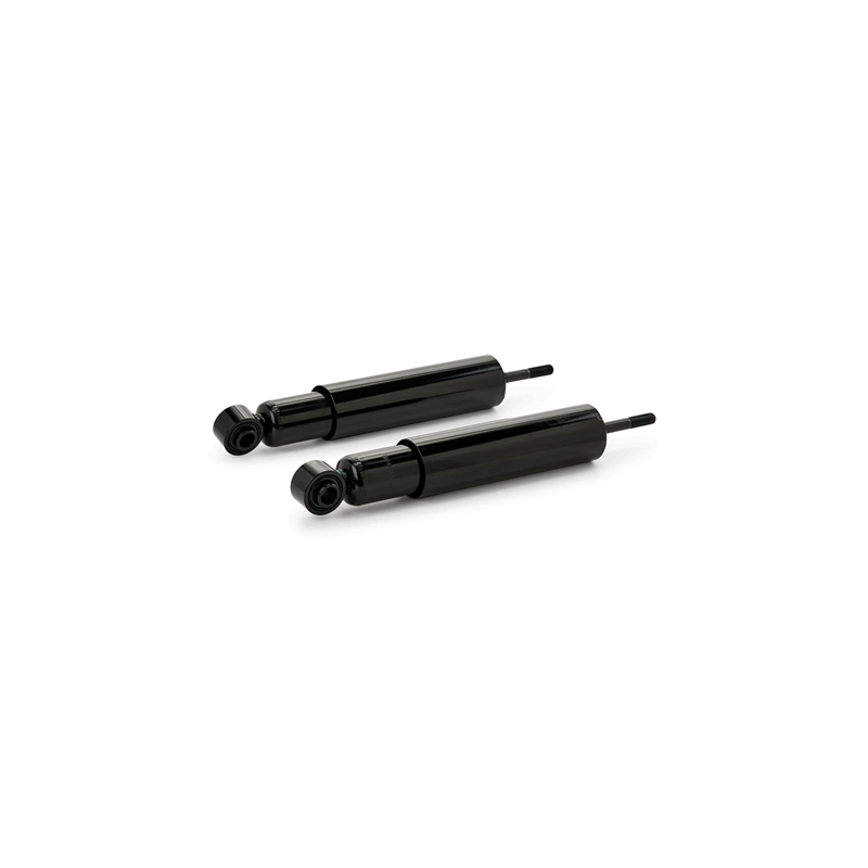 TOYOTA LAND CRUISER Rear Shocks Absorber 4853069516 ASIAN