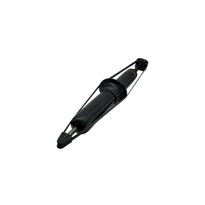 TOYOTA LAND CRUISER Rear Shocks Absorber 4853069516 ASIAN