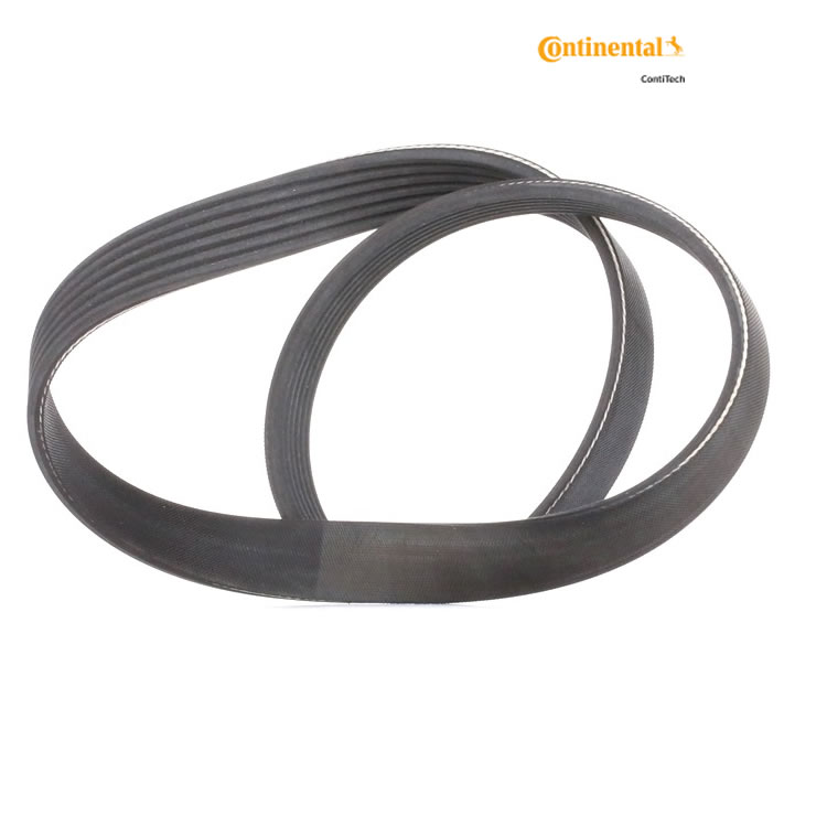 V-Ribbed Belt CONTITECH 6PK798