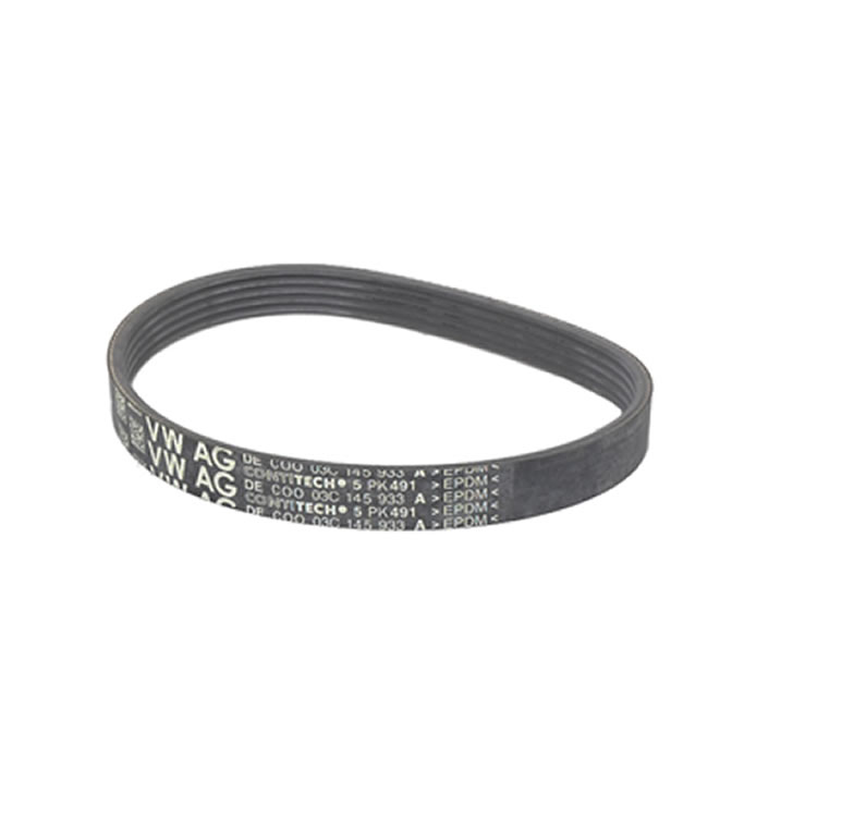 V-Ribbed Belt VW Group 5PK491