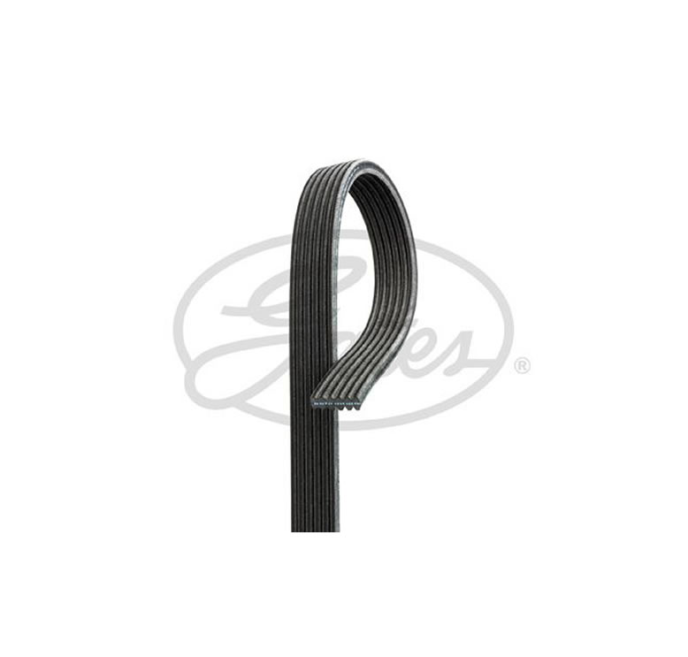 6DPK2281 V-Ribbed Belt, GATES