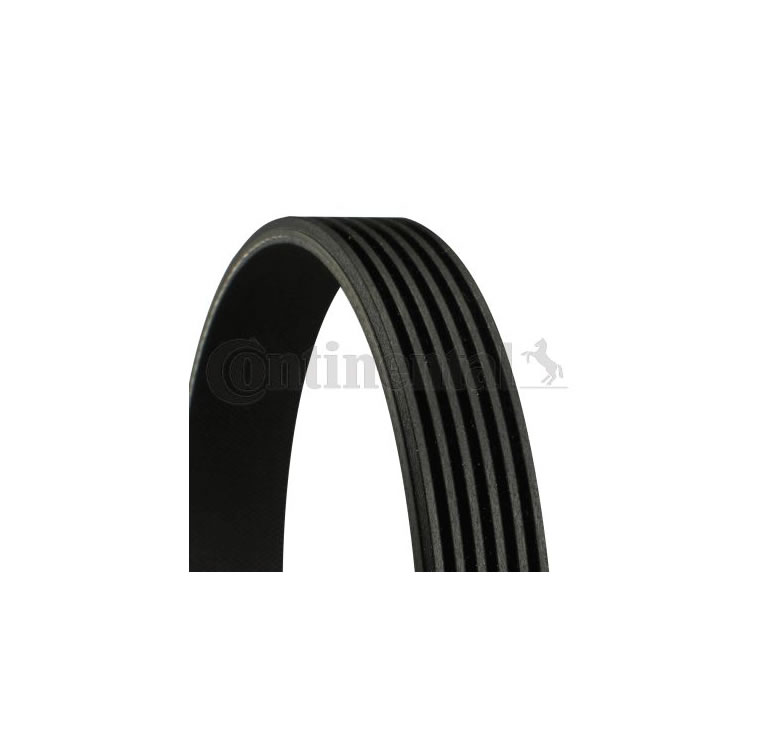 V-Ribbed Belt CONTITECH 6PK1600