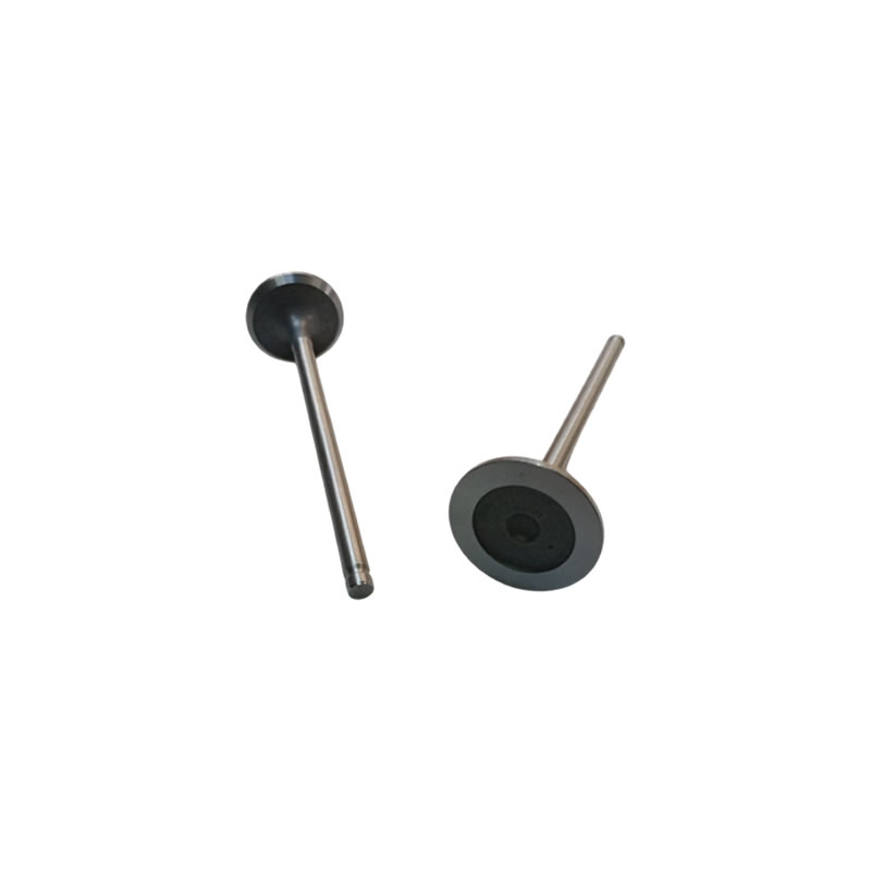 PEUGEOT / CITROEN 1.2 Engine Inlet Valve 9678359080
